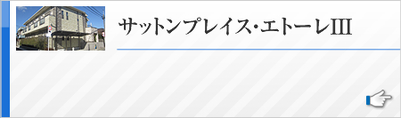 サットンプレイス・エトーレIII