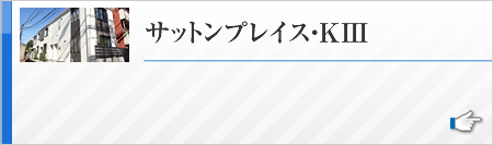 サットンプレイス・KIII