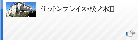 サットンプレイス・松ノ木II