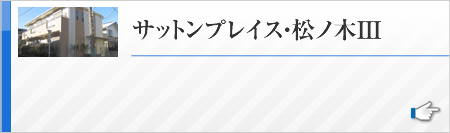 サットンプレイス・松ノ木III