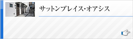 サットンプレイス・オアシス